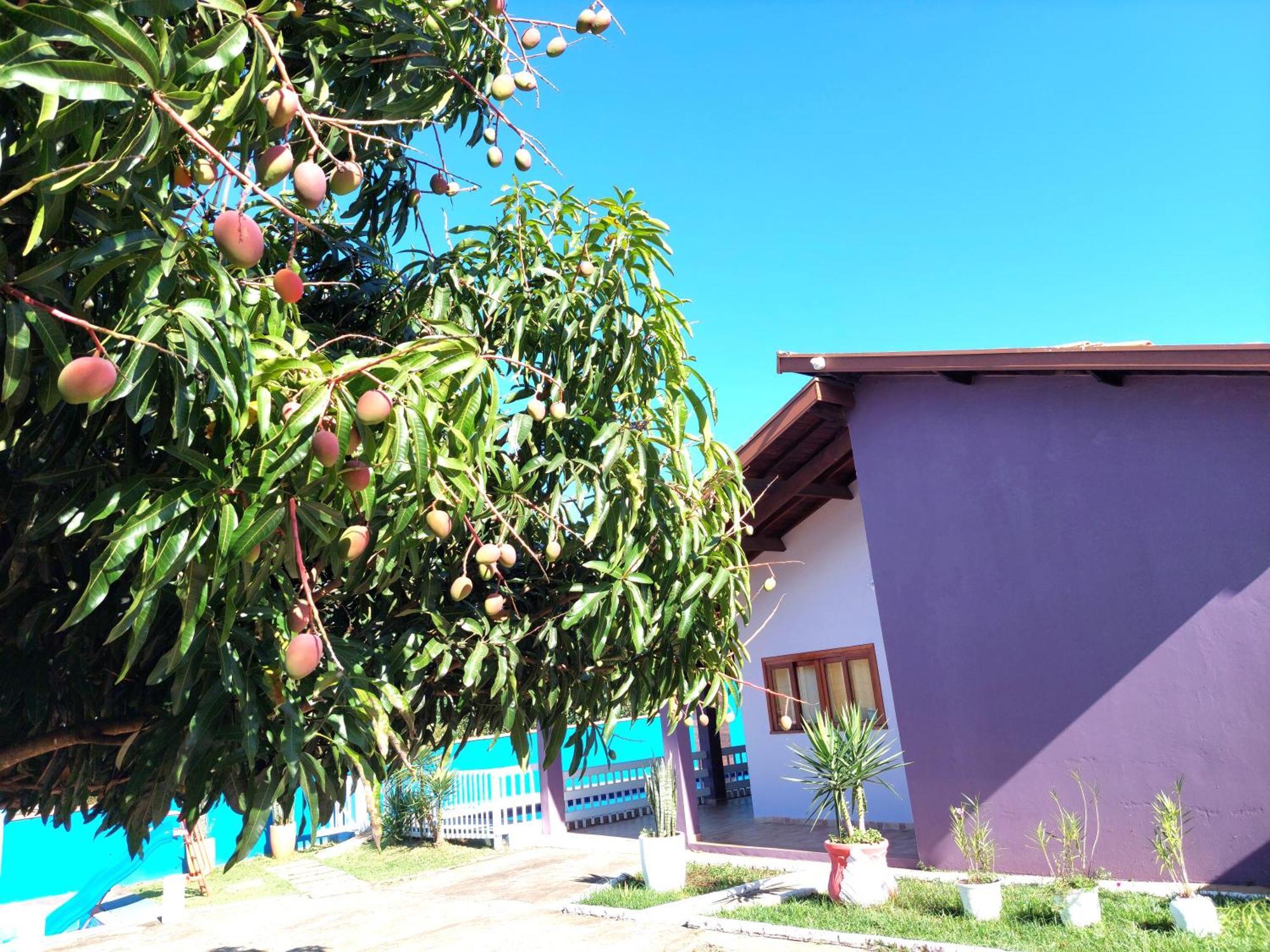 Temporada Belas Casas เซาเปโดร ภายนอก รูปภาพ